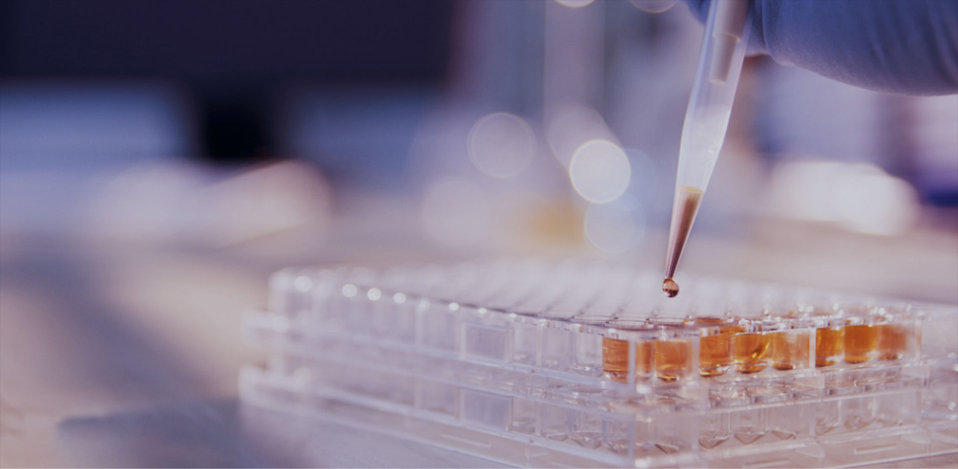 引领精准检测新标杆！河南省核苷药物研究院有限公司荣获CNAS实验室认可